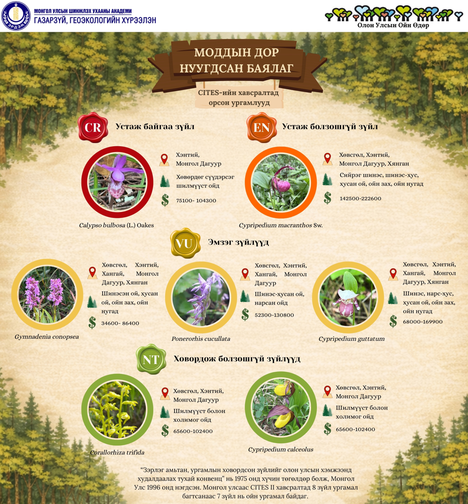 Ой мод нь зөвхөн моддын нөөц төдийгүй олон төрлийн ургамал, амьтдын амьдрах орчин, биологийн олон янз байдлын чухал төв юм. Монгол орны ойд ургадаг зарим ургамал нь ховор, эмзэг болон устах аюулд орсон ангилалд багтдаг бөгөөд олон улсын Convention on International Trade in Endangered Species of Wild Fauna and Flora-ийн хавсралтад бүртгэгдсэн байдаг.