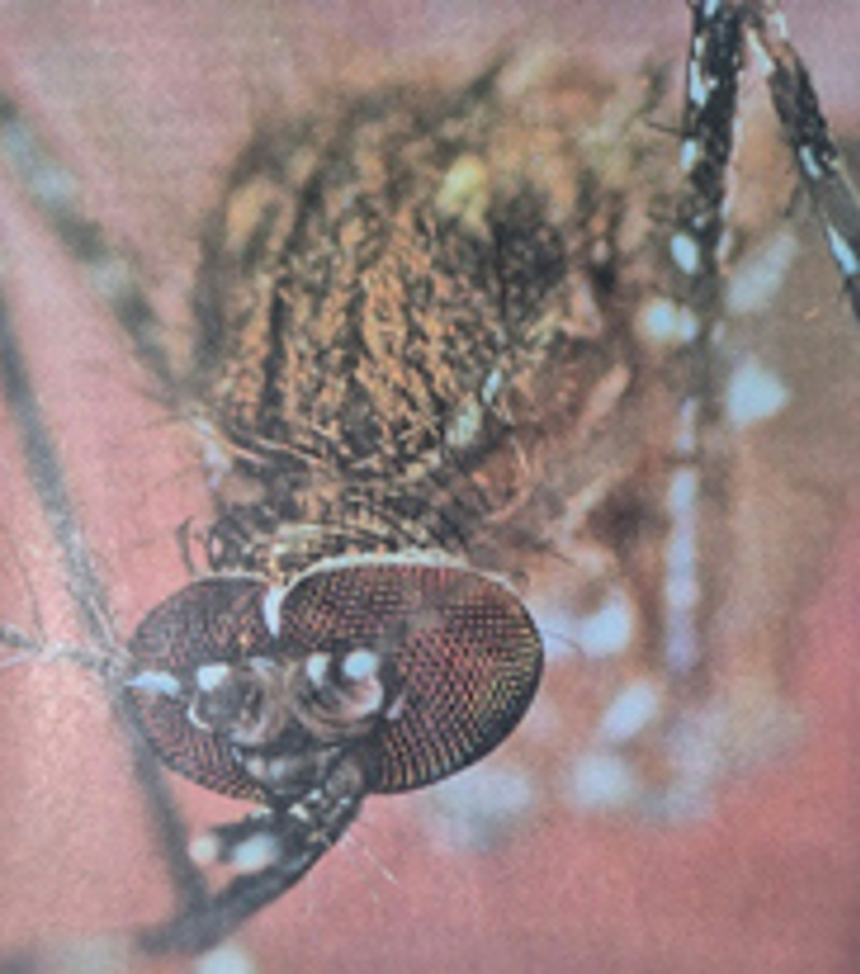 УСНЫ НУУЦЛАГ ЕРТӨНЦӨӨР АЯЛАХУЙ  ЦУВРАЛ - 2